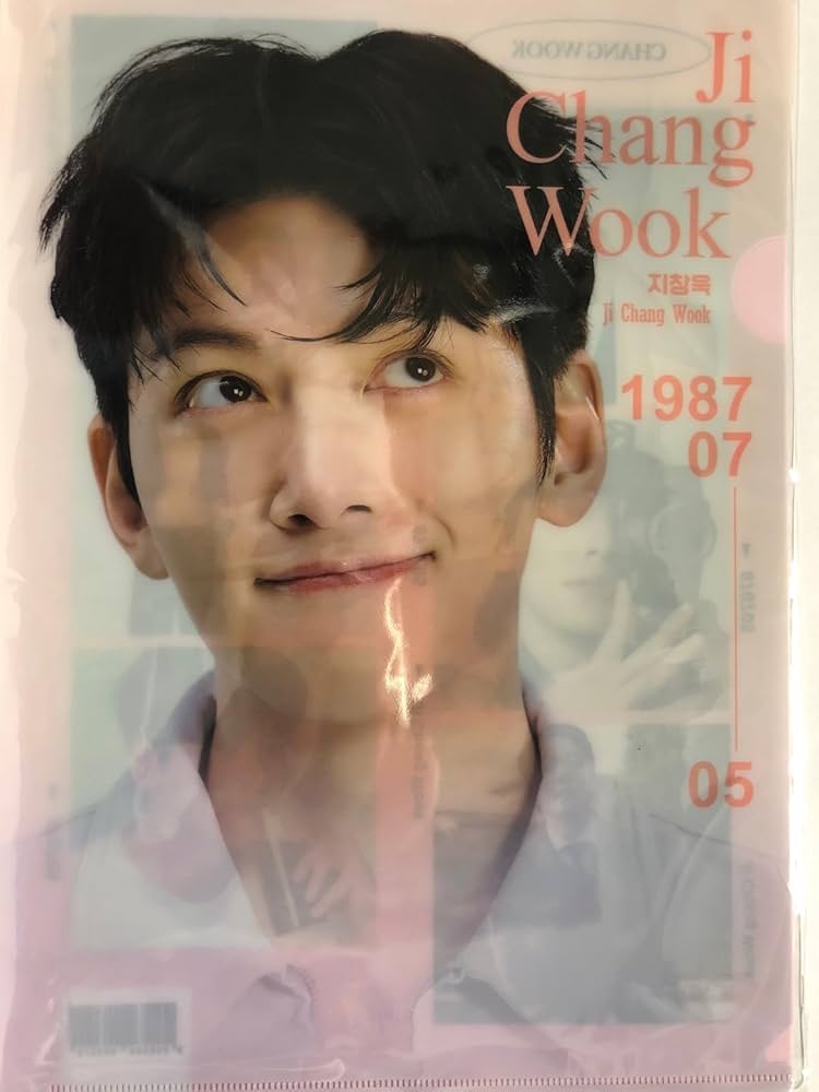 Amazon.co.jp: チチャンウク グッズ A4クリアファイル 韓流